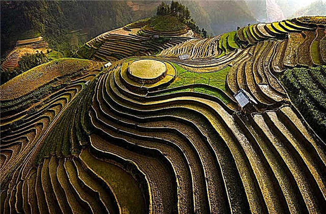 ТОП 12 невероятно красиви оризови тераси на света