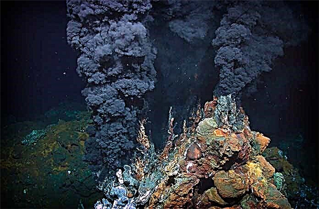 TOP 7 underwater volcanoes for unforgettable diving