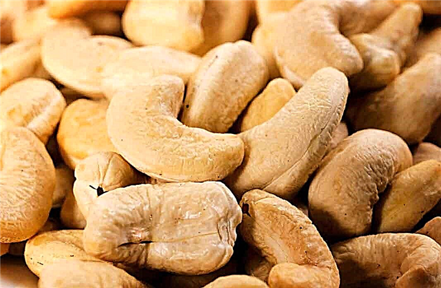 The most useful nuts for health: for children, men, women