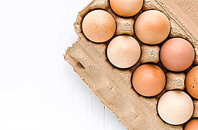 Câte ouă pot mânca pe zi?
