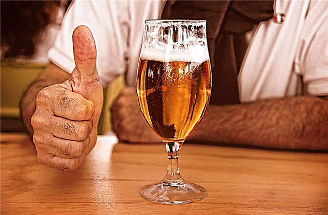 O que dar aos amantes da cerveja: 20 grandes idéias 🍻