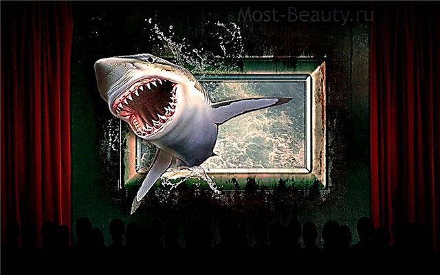 أكثر الأفلام إثارة عن أسماك القرش