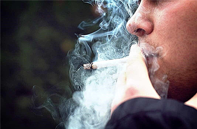 The most interesting facts about cigarettes