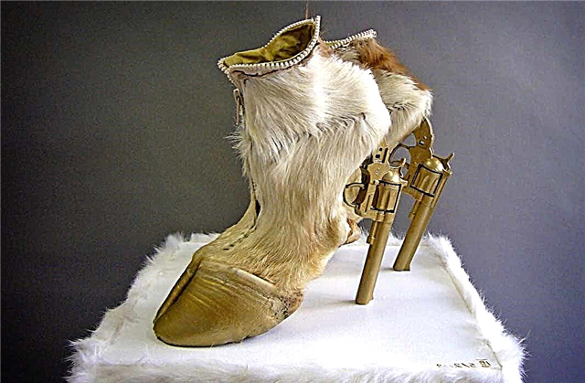 ТОП 20 примера за най-необичайните обувки в света