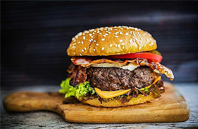 TOP 10 des histoires et des faits intéressants sur les hamburgers qui vous surprendront