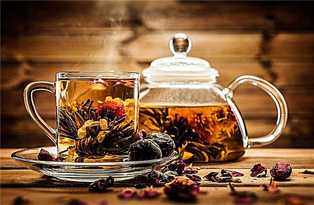 Top 10 best tea producers in the world