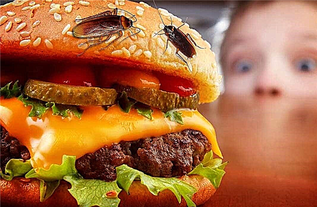 10 objetos estranhos encontrados em fast food