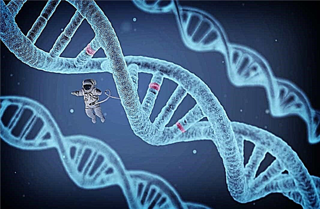 TOP 10 verbazingwekkende ontdekkingen op het gebied van genetica