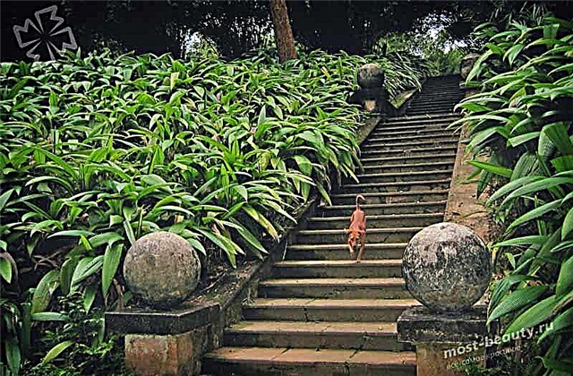 10 escadas do Sri Lanka projetadas por Jeffrey Bava