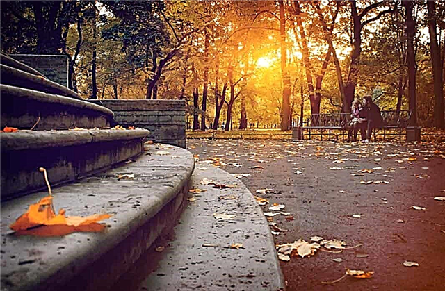 List of the most beautiful parks in St. Petersburg