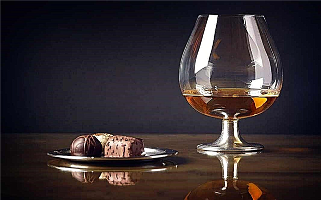 Choisissez un bon cognac géorgien
