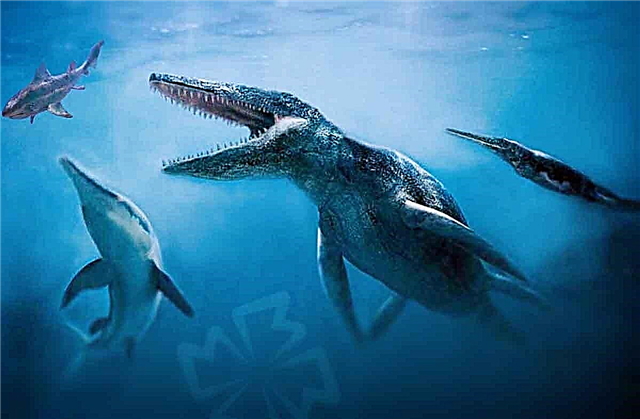 10 skrämmande förhistoriska djur som inte är dinosaurier