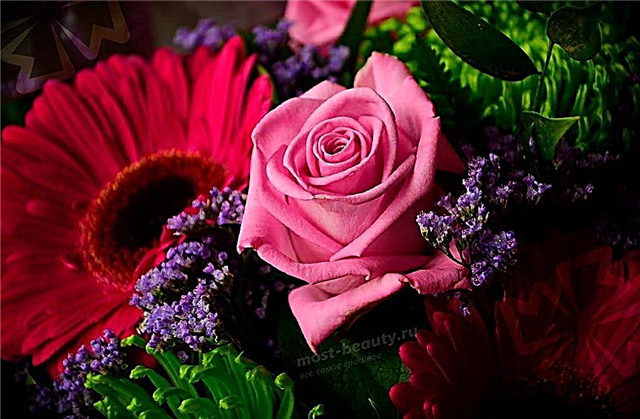 Les meilleures photos de beaux bouquets de fleurs
