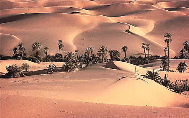 Los desiertos más grandes de la Tierra.