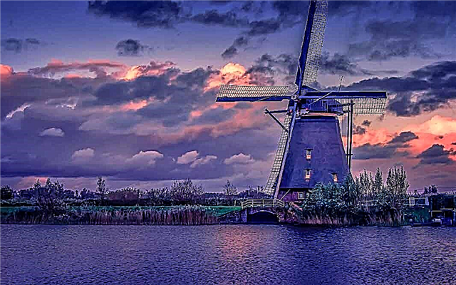 13 lugares que definitivamente deberías ver en los Países Bajos