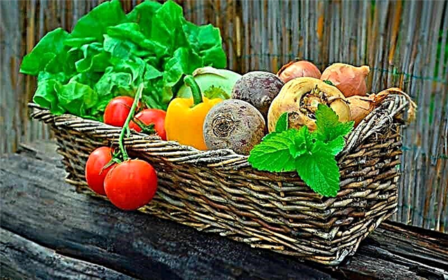 Liste des légumes les plus populaires dans le monde.