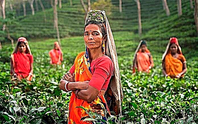 Führende Teeländer der Welt