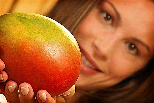 Mango peel will help you lose weight (scientifically proven)