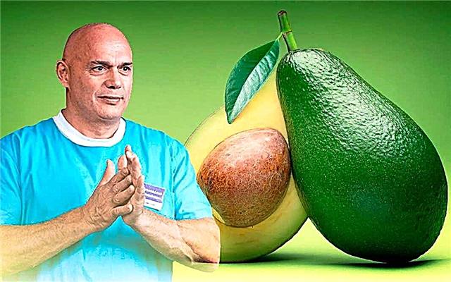 Nuttige eigenschappen van avocado's: voor gewichtsverlies, voor mannen, haar, etc.