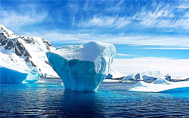 ما الفرق بين القطب الشمالي وأنتاركتيكا؟ الحقائق الأكثر إثارة للاهتمام