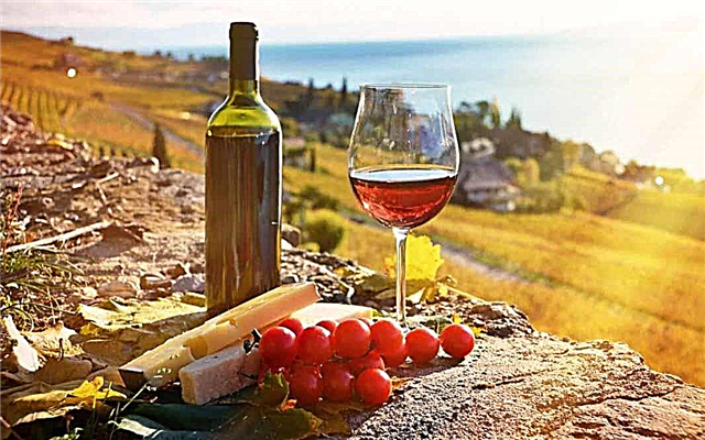 أفضل أنواع النبيذ الجورجي: المراجعات والأوصاف والأصناف والصور