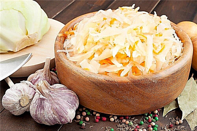 10 best sauerkraut recipes