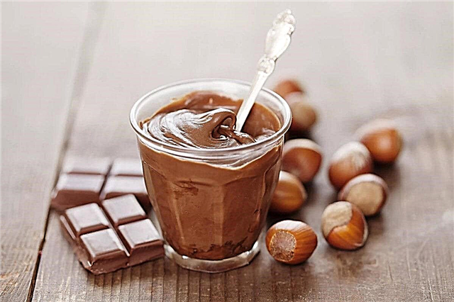 Top 10 des recettes de pâtes maison Nutella