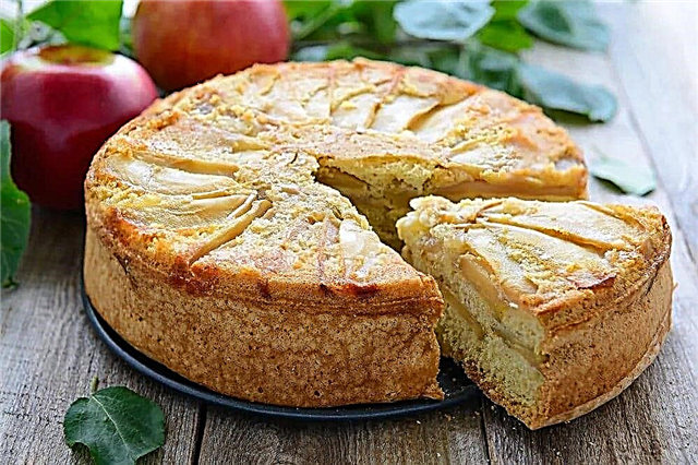 10 кращих рецептів шарлотки з яблуками
