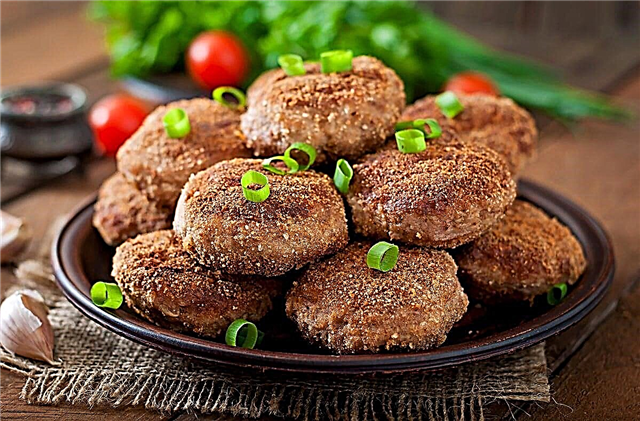10 most delicious recipes for minced meat cutlets