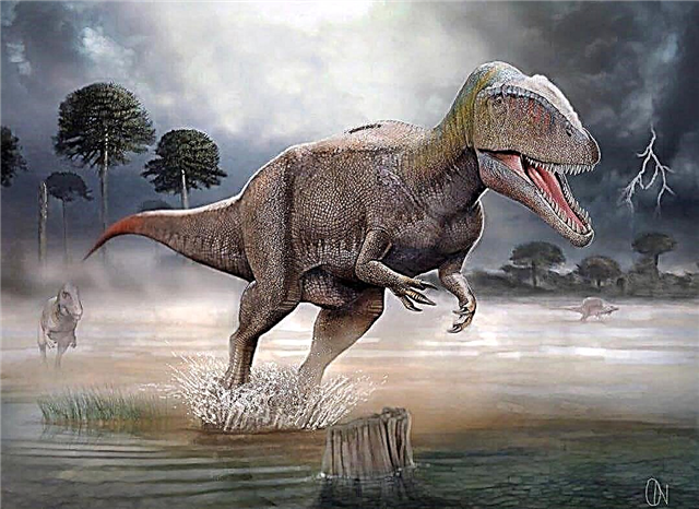 10 kõige jubedamat ja ohtlikumat dinosaurust maailmas