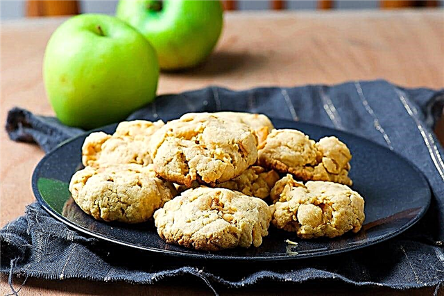 10 recetas de galletas de manzana más deliciosas