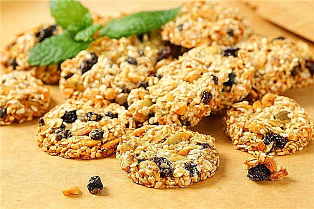 10 most delicious oatmeal cookie recipes