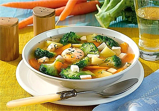 채식 수프를위한 10 가지 가장 맛있는 요리법