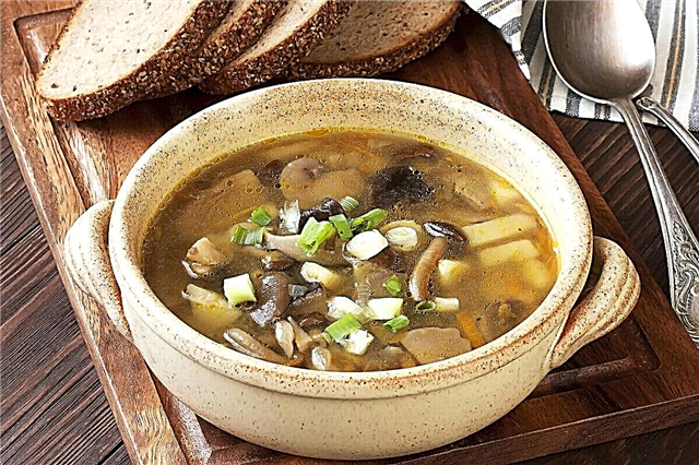 10 najbolj okusnih receptov z gobovo juho