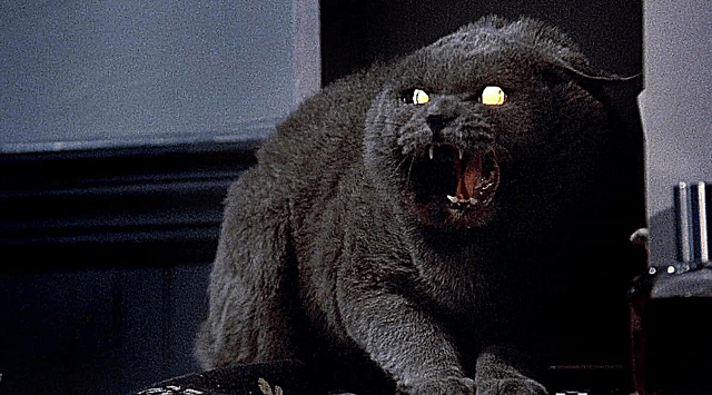 10 najlepších krvilačných hororových filmov