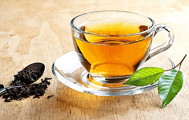 Top 10 most delicious teas