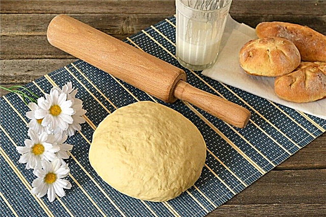 10 receitas para a massa mais deliciosa e delicada para tortas e pãezinhos