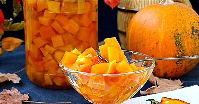 10 best winter pumpkin recipes