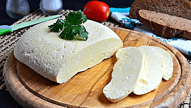 10 most delicious cheese recipes at home