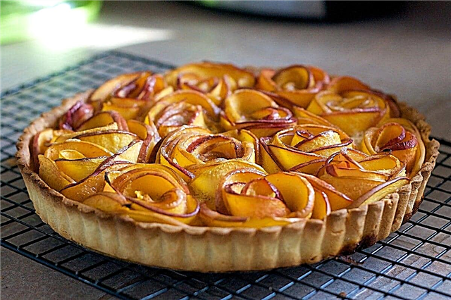 10 easiest and tastiest apple pie recipes