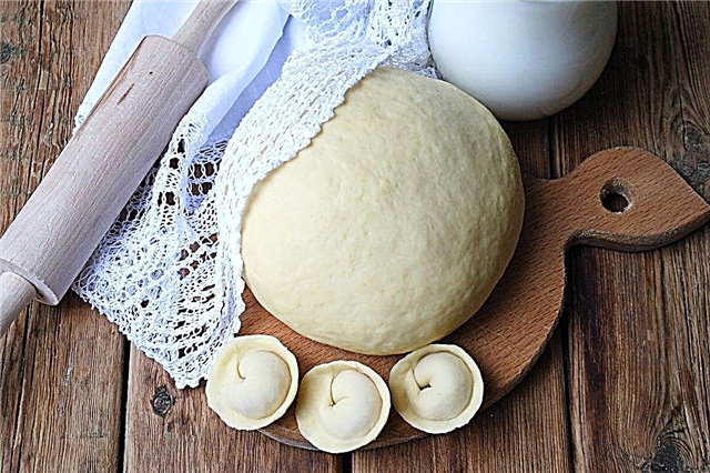 10 best dumplings dough recipes
