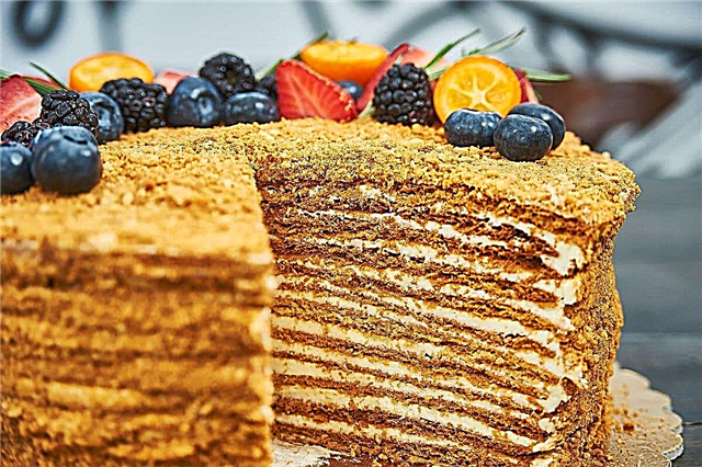 10 vienkāršākās un garšīgākās medus kūku receptes