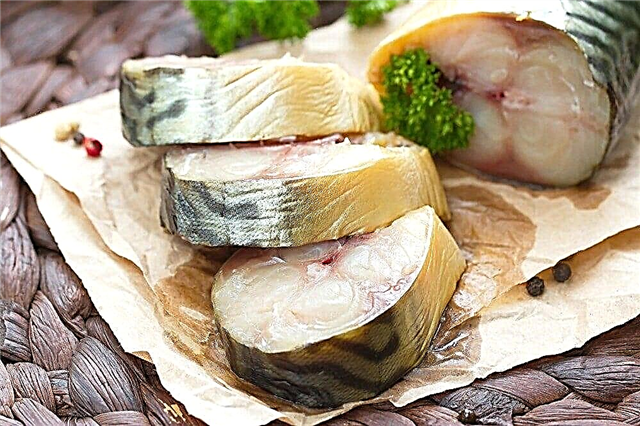 10 köstlichsten Rezepte zum Salzen von Makrelen zu Hause