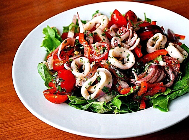 10 recettes de salade de calmars les plus délicieuses