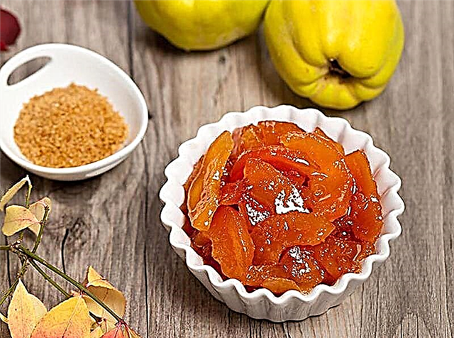 10 most delicious quince jam recipes