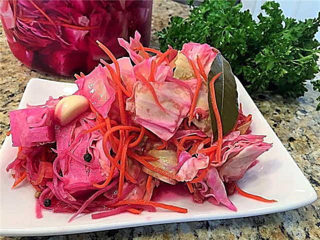 10 most delicious cabbage pills recipes for the winter