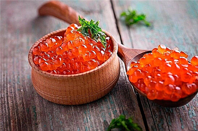 10 principais. O mais delicioso caviar vermelho