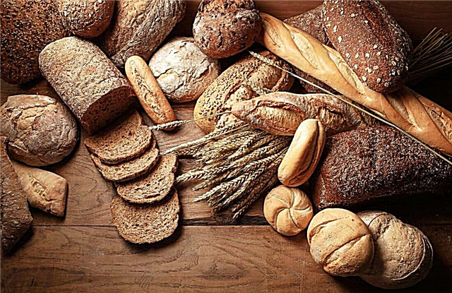 10 fatos interessantes sobre o pão - o produto mais popular do mundo