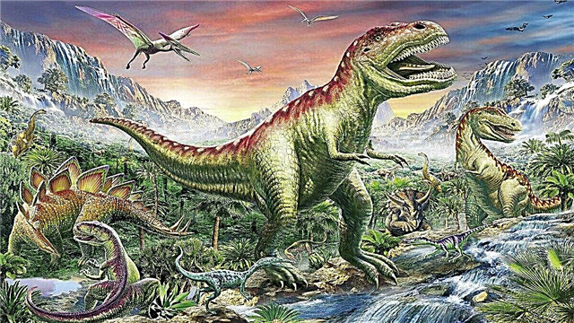 10 interesting facts about dinosaurs - the extinct giants that inhabited our planet