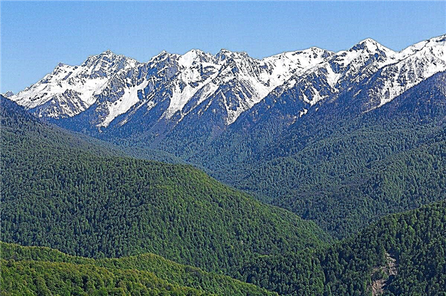 10 interesting facts about the Caucasus Mountains